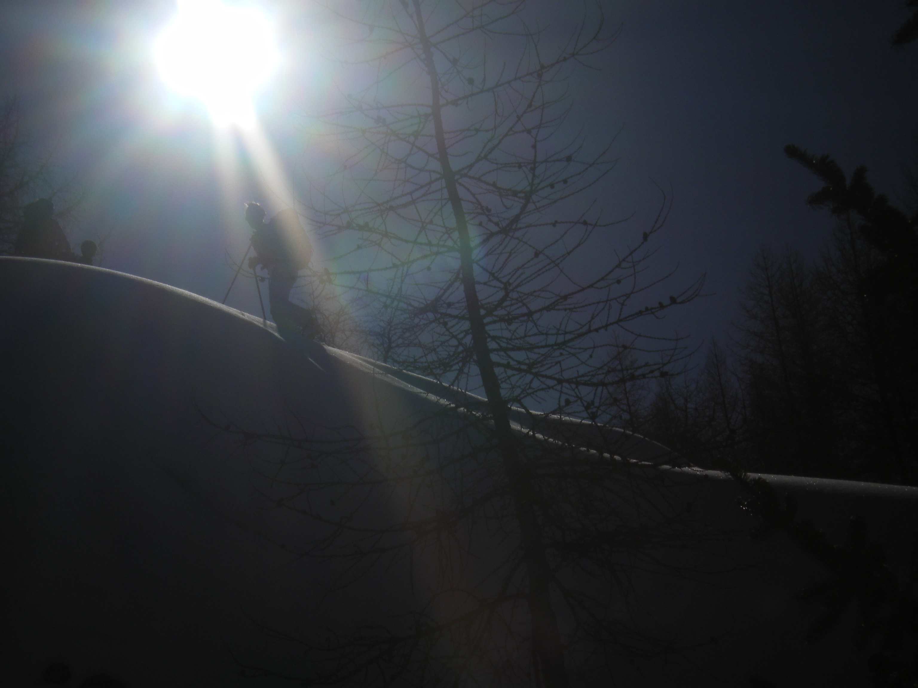 #2 Contrejour : Contrejour ... Contrejour : Contrejour ...