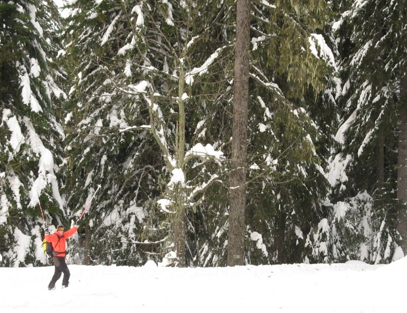 #10 La Berte : sur le chemin du retour La Berte : sur le chemin du retour