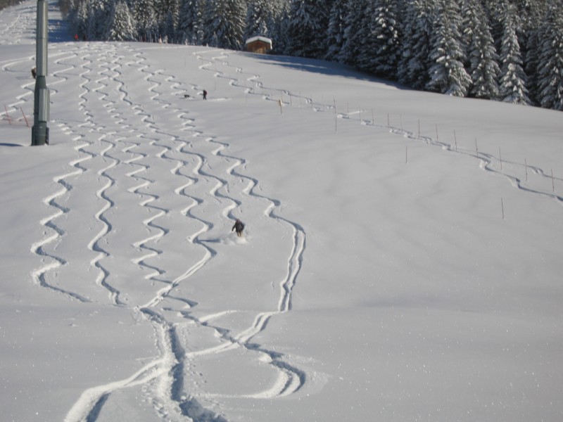 #5 Mont Joux : Manu lache les chevaux dans cette bonne poudreuse Mont Joux : Manu lache les chevaux dans cette bonne poudreuse