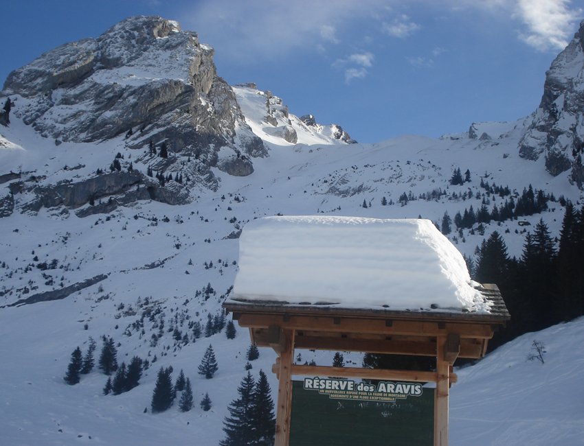 #3 combe de Bellachat : La combe de montée combe de Bellachat : La combe de montée