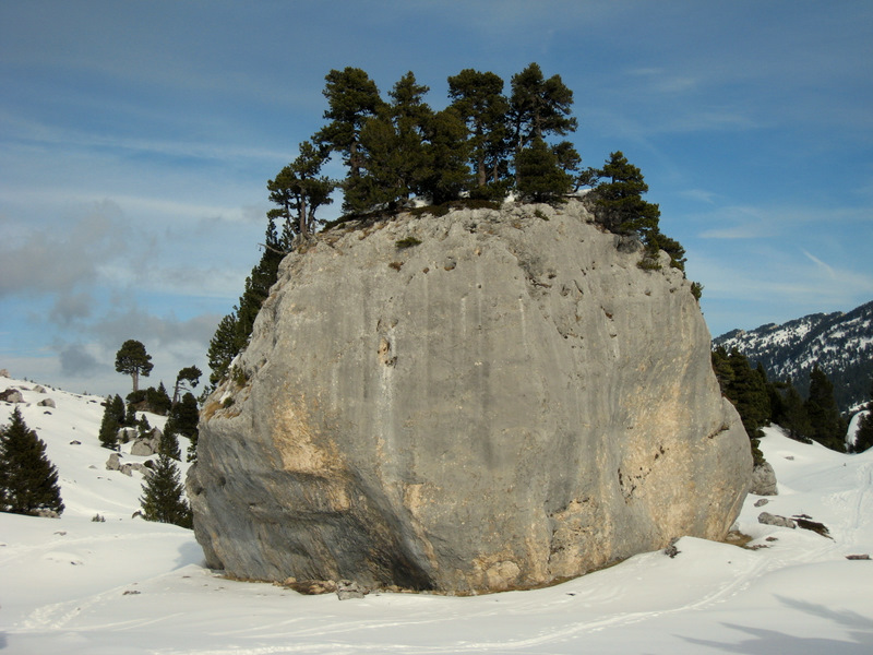 #5 Temple Birman : dans le vallon de Marcieu Temple Birman : dans le vallon de Marcieu