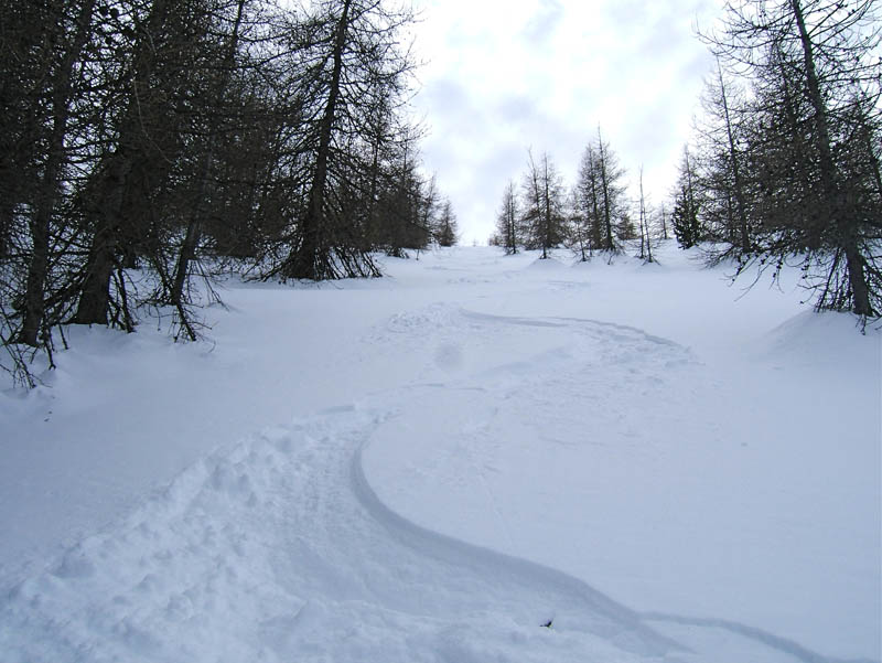 #6 Barrot : Poudre à donfe!! dans la descente aux abords du couloirs qui est trop tracé. Barrot : Poudre à donfe!! dans la descente aux abords du couloirs qui est trop tracé.