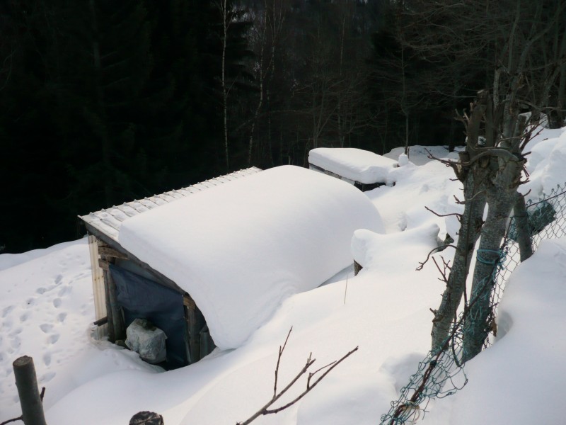 #2 un petit cabanon : pas plus grand qu un petit cabanon : pas plus grand qu'un mouchoir de poche mais avec un gros matelas et c'est qui qui a tiré sur la couverture?