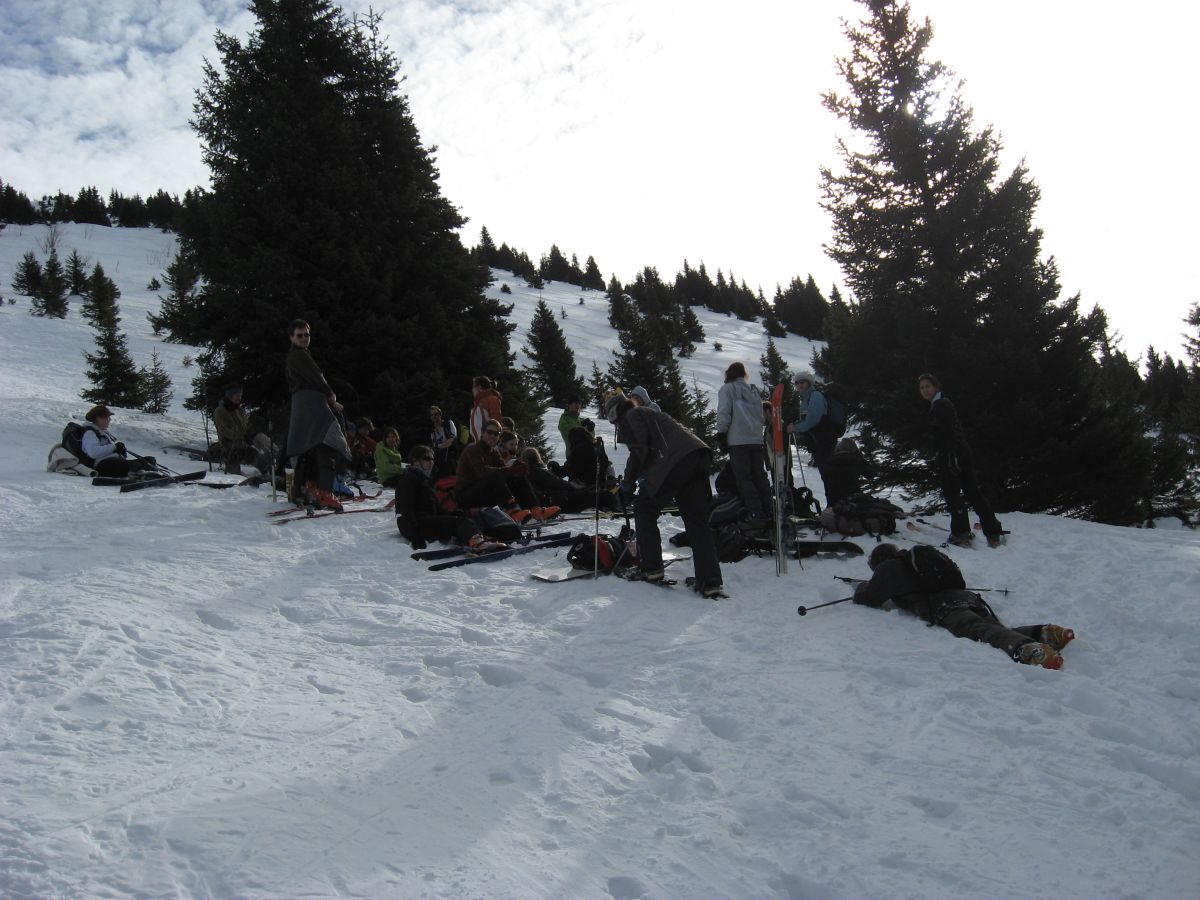 #1 Troupeau : Une pause bien méritée au sortir de la forêt. Troupeau : Une pause bien méritée au sortir de la forêt.