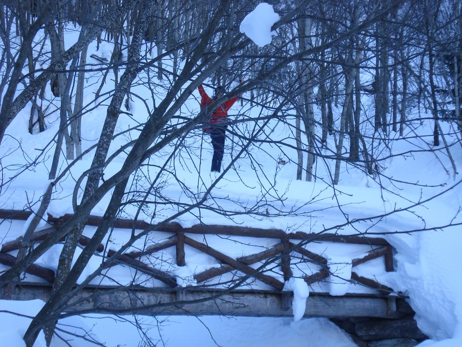 #1 De la neige ! : Nous sommes a 1100m ! De la neige ! : Nous sommes a 1100m !