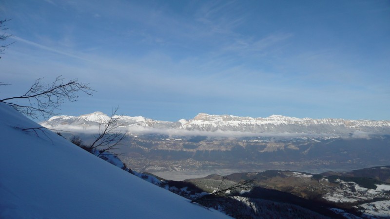 #1 Lever de soleil en chartreuse : Le soleil se fait désirer dans ce frigo de face NE qui, en ce moment, ne prend pas le soleil de la journée.... Lever de soleil en chartreuse : Le soleil se fait désirer dans ce frigo de face NE qui, en ce moment, ne prend pas le soleil de la journée....