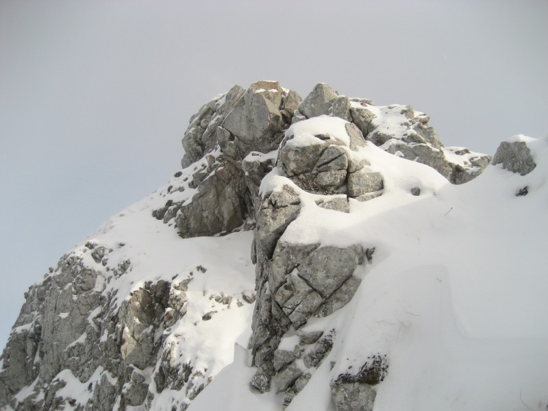 #8 Piton de la bouchasse : Le sommet risque d Piton de la bouchasse : Le sommet risque d'échapper aux skieurs pendant quelques millénaires, le temps pour l'érosion de nous niveler tout ça!