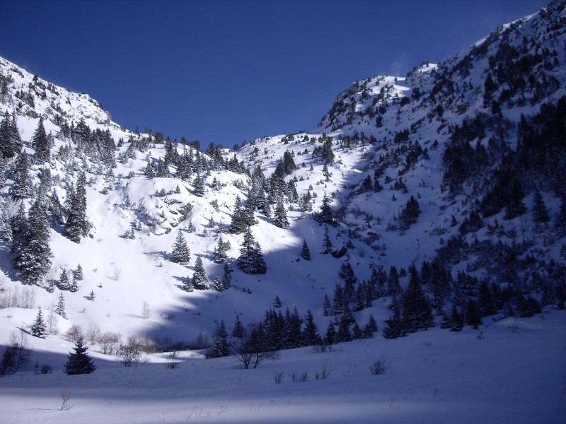 #2 Vallon de guilleman : Vu de Prévourey, toujours aussi beau et sauvage Vallon de guilleman : Vu de Prévourey, toujours aussi beau et sauvage