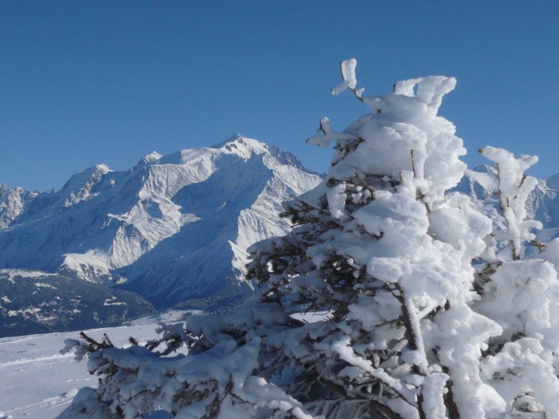 Mt Blanc : Qui est le plus blanc ?