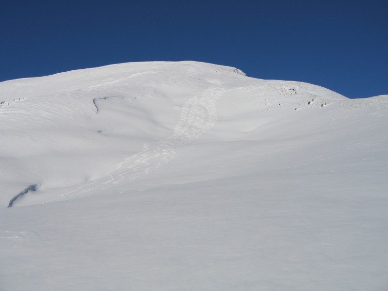 #5 Croise Baulet : Les jolis wedzees Croise Baulet : Les jolis wedzees