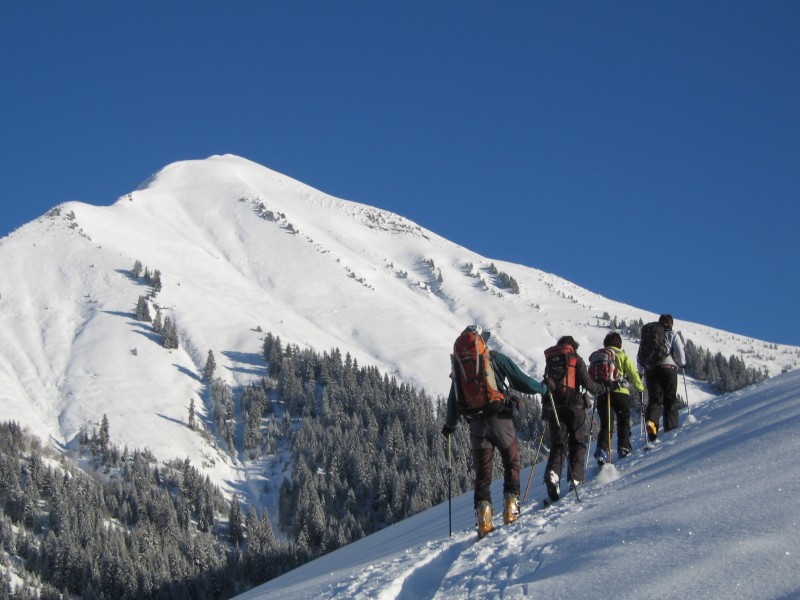 #2 Croise Baulet : A la sortie de la forêt en montant au Croise Baulet on s Croise Baulet : A la sortie de la forêt en montant au Croise Baulet on s'arrange pour faire la trace :)