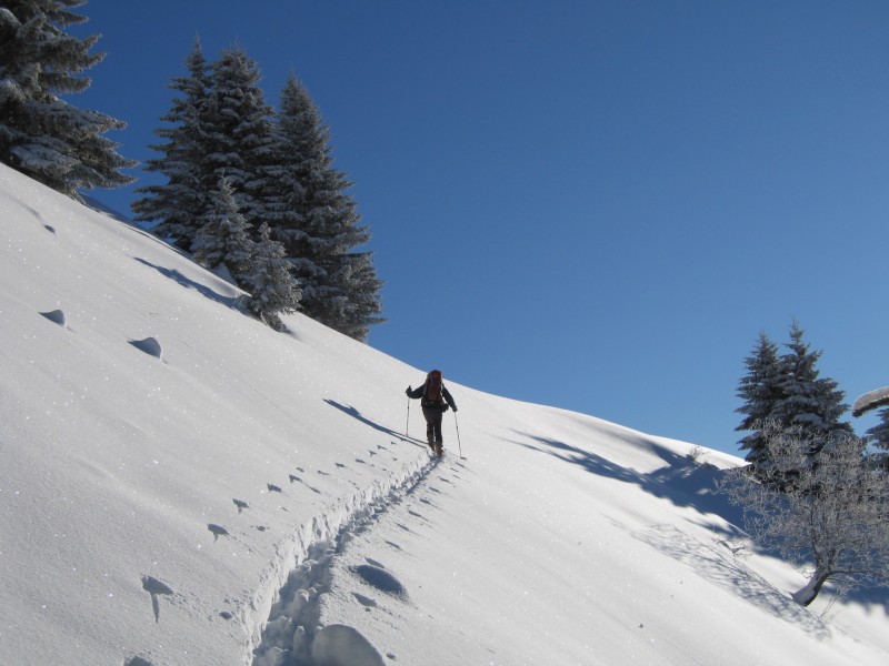 #3 Croise Baulet : Nous prenons de la distance car le secteur est bien chargé. Pas assez rapide pour immortaliser le magnifique Chamois aperçu à gauche du sapin. Croise Baulet : Nous prenons de la distance car le secteur est bien chargé. Pas assez rapide pour immortaliser le magnifique Chamois aperçu à gauche du sapin.