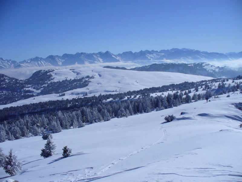 #5 Vue vers la croix de l Vue vers la croix de l'Alpe : Avec le col à gauche dans la forêt par lequel passe l'itinéraire du retour