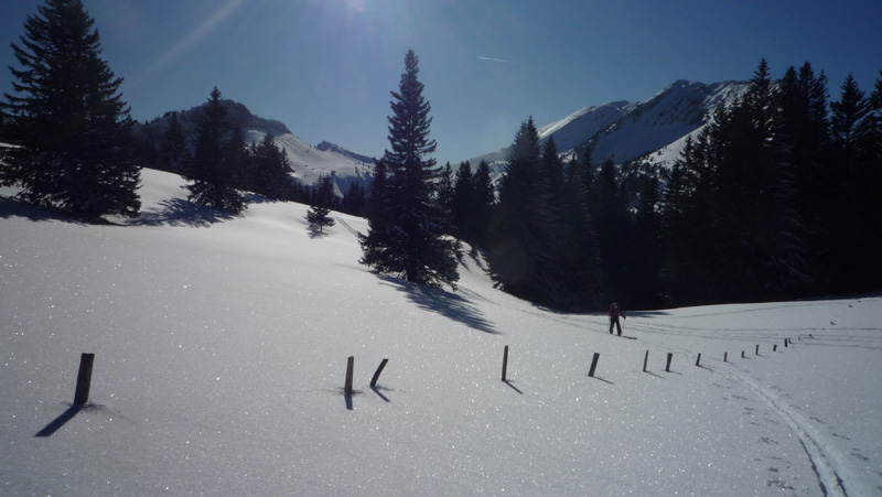 #7 Col de la Charmille : Le retour au col Col de la Charmille : Le retour au col