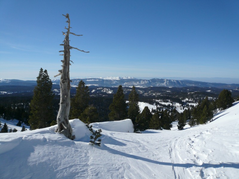 #7 plateau du Vercors : tranquille plateau du Vercors : tranquille