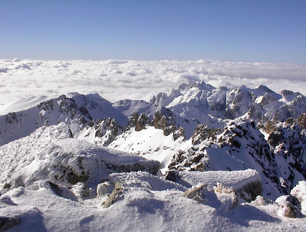 Panorama vers l'W : Depuis le sommet, vue vers l'W: Punta Mufrena, Maniccia et aiguilles de la haute Restonica dans leurs carapaces de glace.