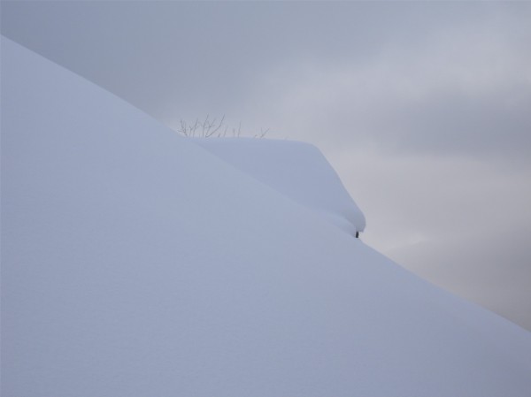 #3 Le rêve : Moui, il y a de la neige... Le rêve : Moui, il y a de la neige...