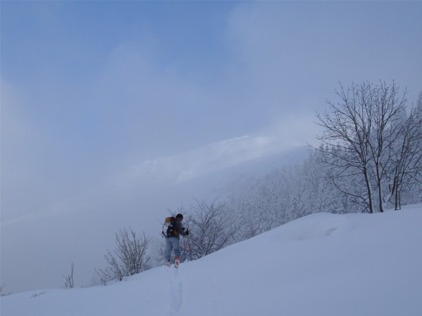 #1 Bottière : Aux Chalet de la Bottière avec l Bottière : Aux Chalet de la Bottière avec l'objectif en vue.