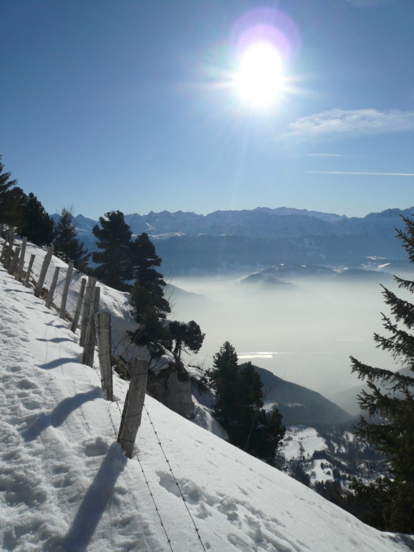#5 soleil d soleil d'été : Et dire que les vaches passent par le même chemin que nous !!