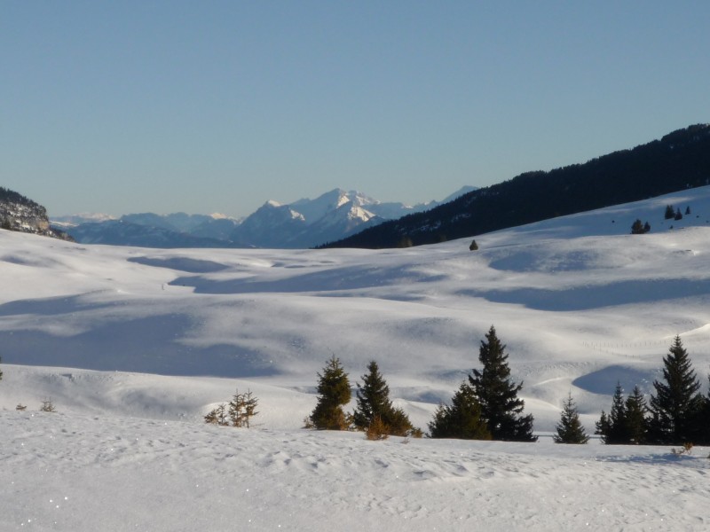 #1 Vallon de l Vallon de l'alpe : c'est calme...