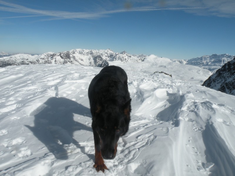 #3 Louna : Elle est chargé de me sortir d Louna : Elle est chargé de me sortir d'une avalanche et d'apeler les secours..