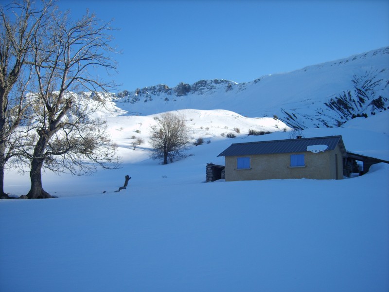 #1 La pente de Costebelle : Pas un cailloux. Il y a des traces entre les tours au fond La pente de Costebelle : Pas un cailloux. Il y a des traces entre les tours au fond