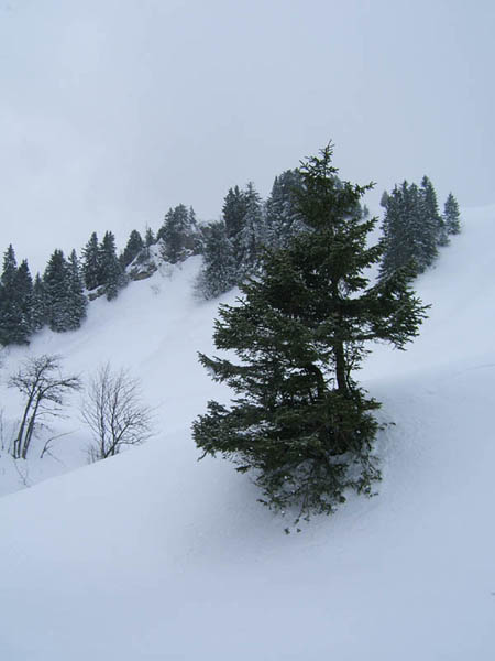 combe : vers le bas de la combe en direction de l'oratoire