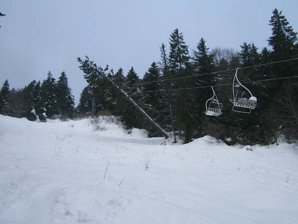 sur la piste : sapin sur câble du télésiège