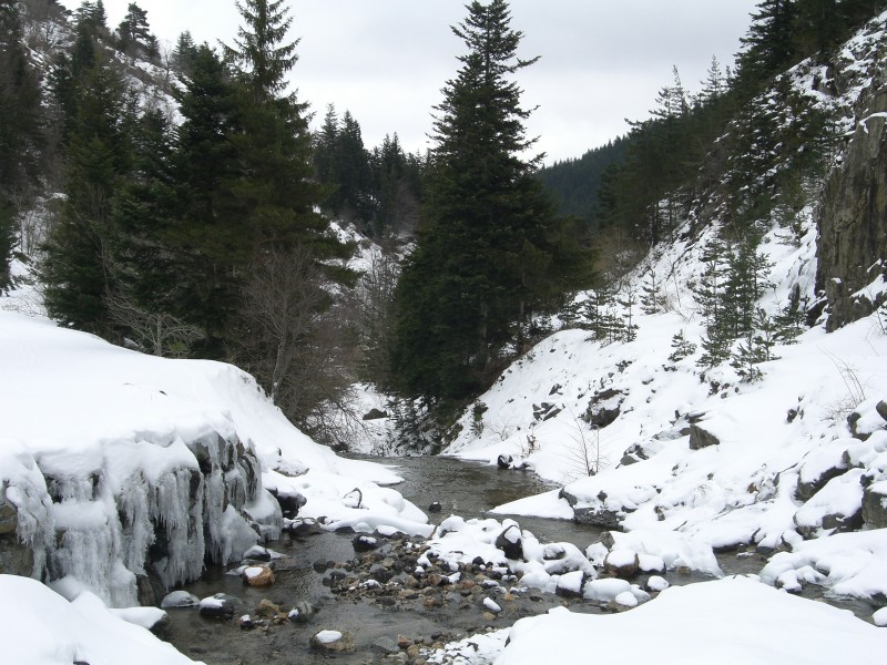 Ruisseau l'Eysse : L'enneigement laisse présager un bon débit au printemps.