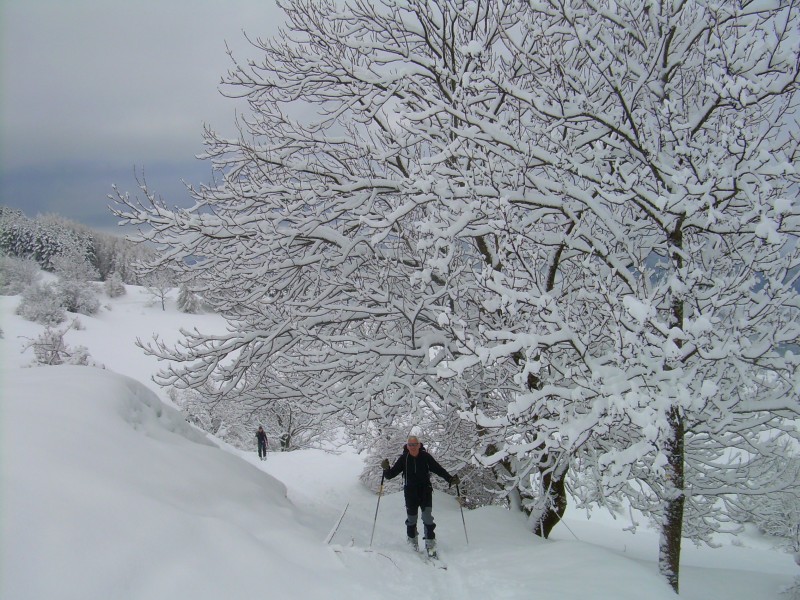 #1 début de la montée : plein de neige début de la montée : plein de neige