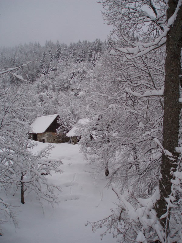 Plein de belle neige : Plusieurs granges + ou - ruinées sur le parcours