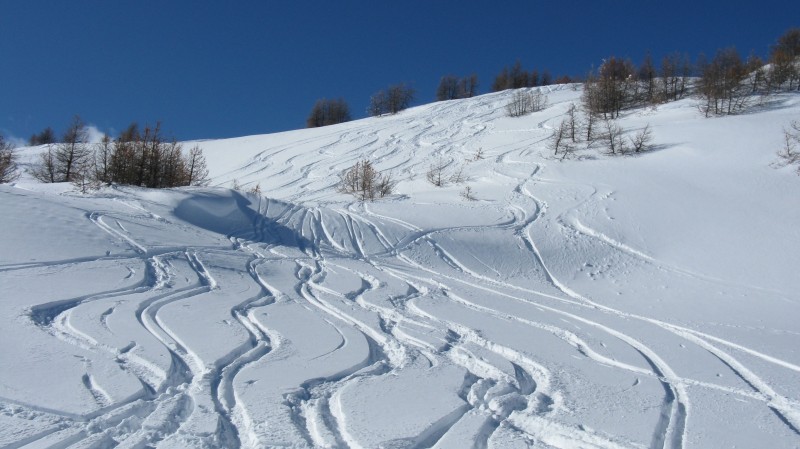 #5 A l A l'entrée de la forêt : des conditions de neige comme aujourd'hui: le rêve!