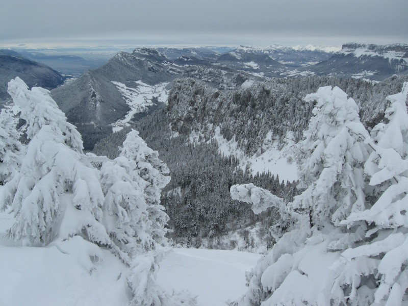 #8 Petit Som : Chartreuse Nord depuis le sommet du Petit Som Petit Som : Chartreuse Nord depuis le sommet du Petit Som