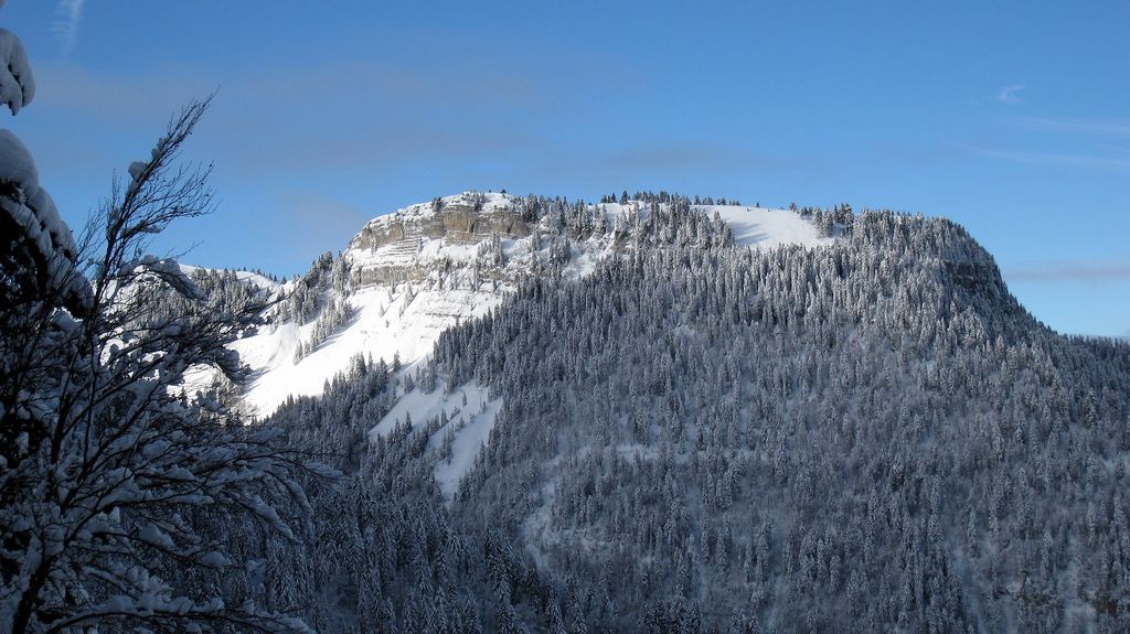 #3 Roc d Roc d'Arguille : à droite de la clairiere, nos traces d'hier