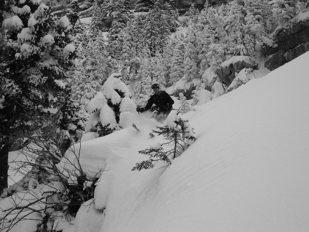 #11 Bertrand : la Chartreuse, c Bertrand : la Chartreuse, c'est plein de freerideurs qui envoient du lourd...