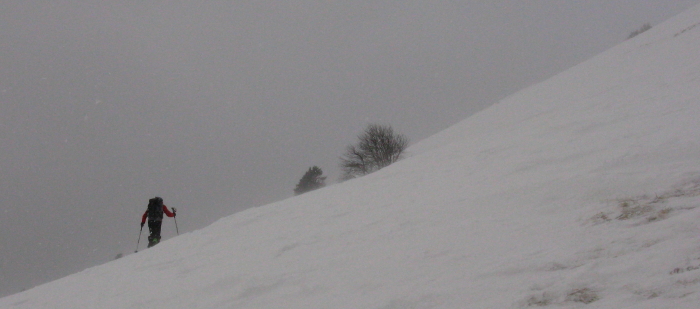 #1 En Chartreuse... : y fait tjrs beau qui disait ! En Chartreuse... : y fait tjrs beau qui disait !