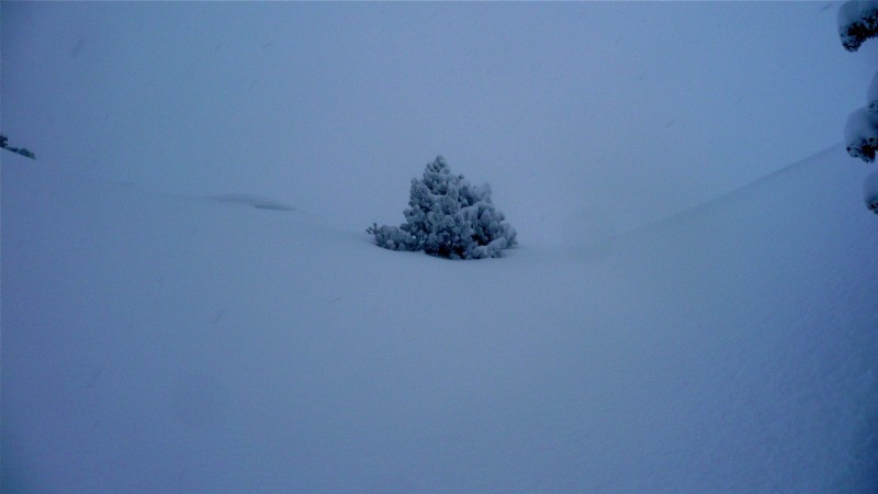 #2 Neige, brouillard : Sur la photo, on ne sent ni le vent ni le froid! Neige, brouillard : Sur la photo, on ne sent ni le vent ni le froid!
