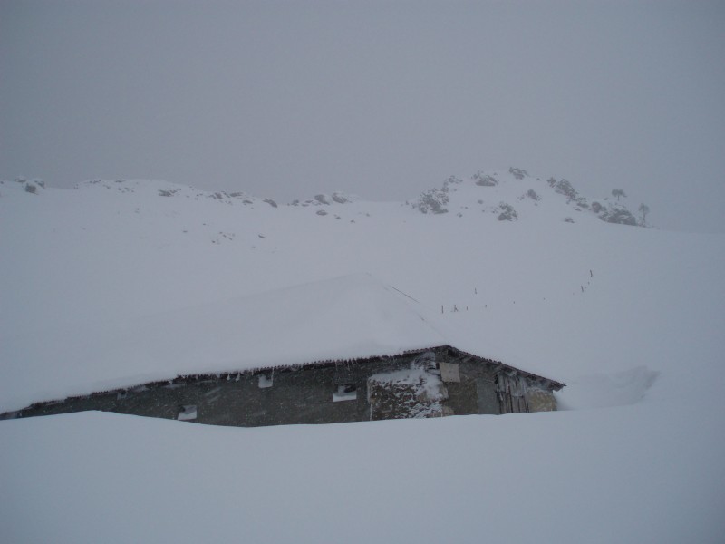 #2 chalet de Rossane : Visibilité médiocre coté Bade, arète SW trop chargée, donc repli sur l chalet de Rossane : Visibilité médiocre coté Bade, arète SW trop chargée, donc repli sur l'itinéraire classique.