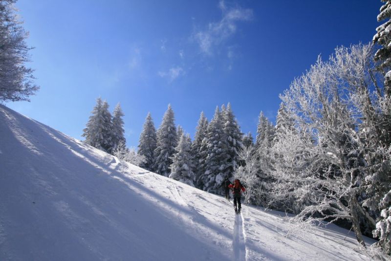 Traversée vers le Fournel : On reprend les ingrédients soleil, poudre, arbres couverts de neige...