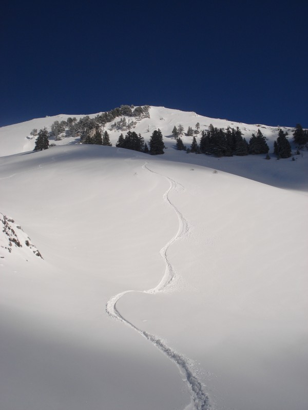 #3 courbe : fin de l courbe : fin de l'alpage