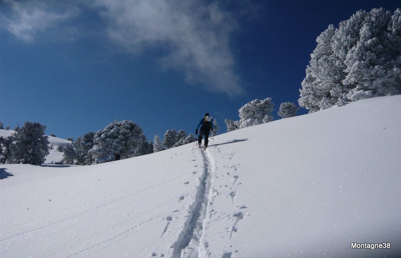 #6 le plateau sommitale : Seul ... tout seul le plateau sommitale : Seul ... tout seul