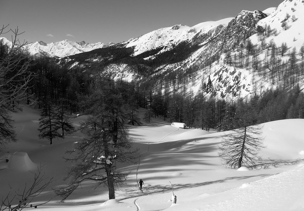 #12 La cabane du Spurc La cabane du Spurc