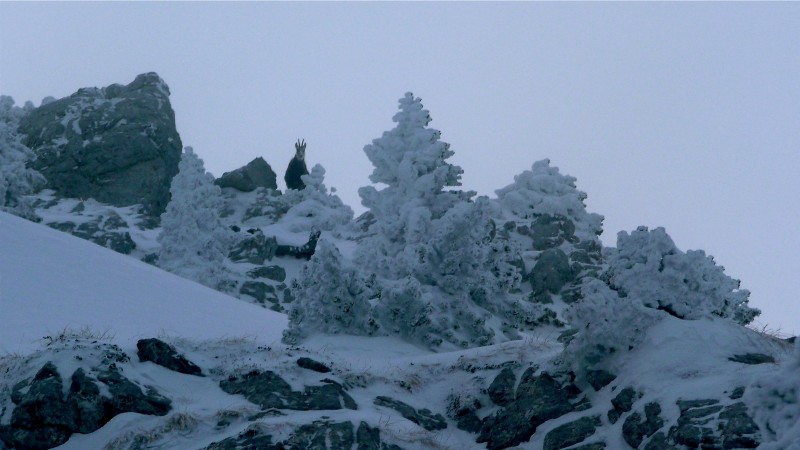 #3 Le surveillant : Il a du se marrer en me voyant galérer Le surveillant : Il a du se marrer en me voyant galérer