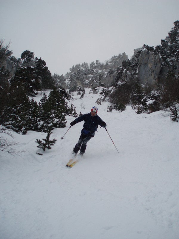 #8 Virgule : Marc se gave aussi, et la forêt sera encore meilleure... Virgule : Marc se gave aussi, et la forêt sera encore meilleure...