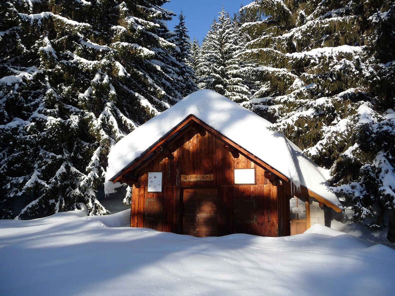 Chalet du Queget : Peu avant la sortie de la forêt