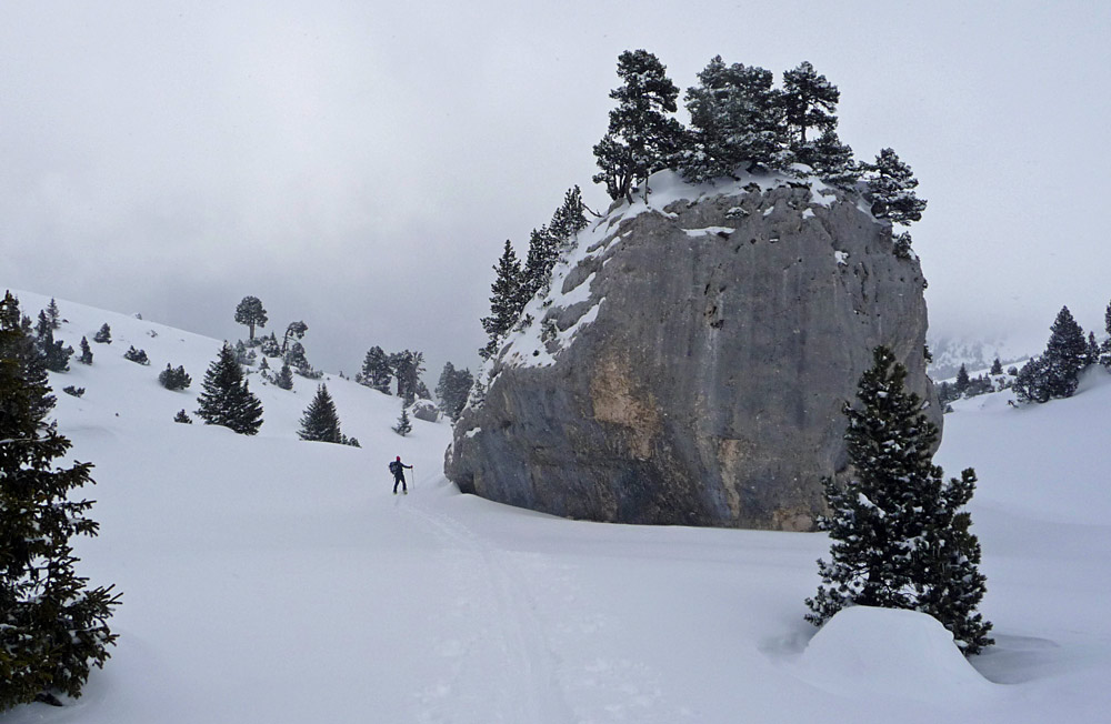 #3 Vallon de Marcieu : Un des nombreux "graviers" qui jonchent le Vallon de Marcieu. Vallon de Marcieu : Un des nombreux "graviers" qui jonchent le Vallon de Marcieu.