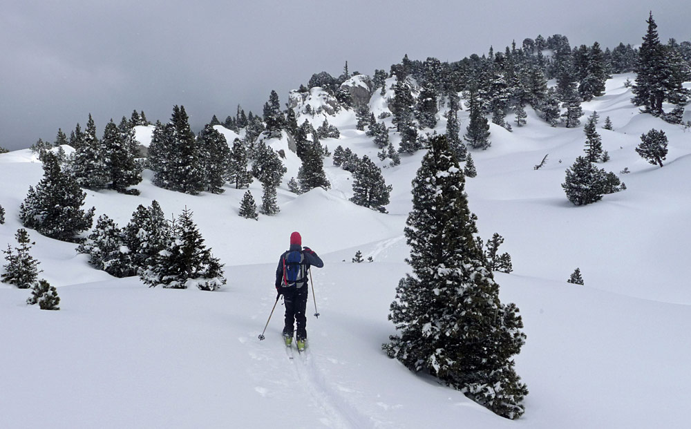 #4 Vallon de Marcieu : Terrain typiquement pomatoire ! Vallon de Marcieu : Terrain typiquement pomatoire !