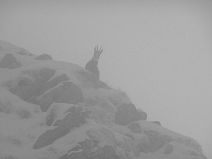 Couloir sous surveillance : Voilà d'où viennent les chutes de crottes dans le couloir!