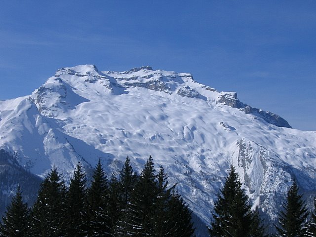 #3 La Tournette : en montant à sulens La Tournette : en montant à sulens