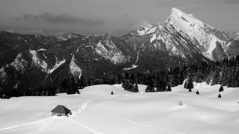 #3 Chartreuse ! : Comme l Chartreuse ! : Comme l'aime